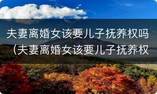 夫妻离婚女该要儿子抚养权吗（夫妻离婚女该要儿子抚养权吗）