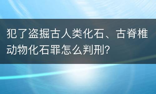 犯了盗掘古人类化石、古脊椎动物化石罪怎么判刑？