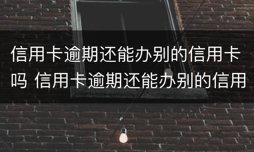 信用卡逾期还能办别的信用卡吗 信用卡逾期还能办别的信用卡吗