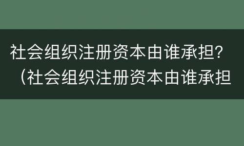 社会组织注册资本由谁承担？（社会组织注册资本由谁承担责任）