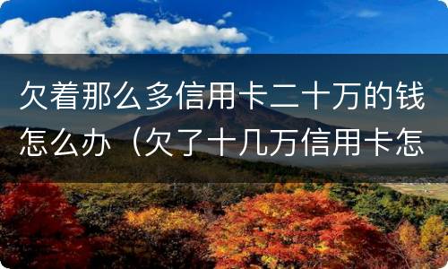 欠着那么多信用卡二十万的钱怎么办（欠了十几万信用卡怎么办）