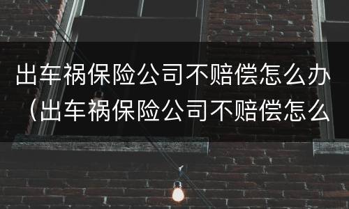 出车祸保险公司不赔偿怎么办（出车祸保险公司不赔偿怎么办理）