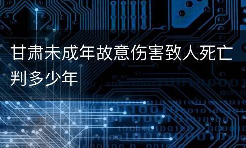 甘肃未成年故意伤害致人死亡判多少年