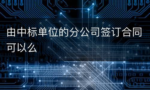 由中标单位的分公司签订合同可以么