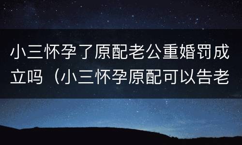 小三怀孕了原配老公重婚罚成立吗（小三怀孕原配可以告老公重婚罪吗）
