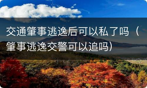 交通肇事逃逸后可以私了吗（肇事逃逸交警可以追吗）