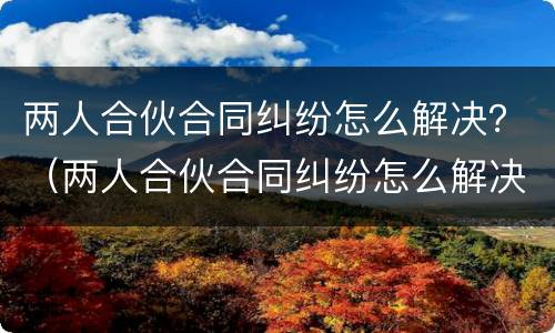 两人合伙合同纠纷怎么解决？（两人合伙合同纠纷怎么解决好）