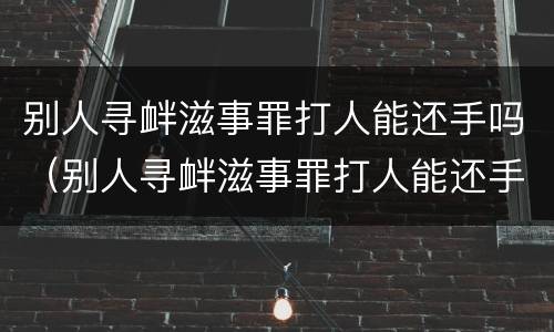 别人寻衅滋事罪打人能还手吗（别人寻衅滋事罪打人能还手吗怎么处理）