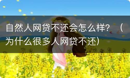 自然人网贷不还会怎么样？（为什么很多人网贷不还）