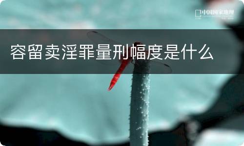 容留卖淫罪量刑幅度是什么