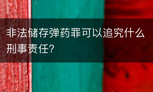 非法储存弹药罪可以追究什么刑事责任？