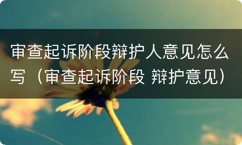 审查起诉阶段辩护人意见怎么写（审查起诉阶段 辩护意见）