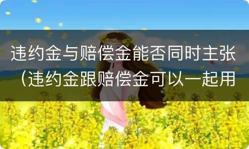 违约金与赔偿金能否同时主张（违约金跟赔偿金可以一起用吗）