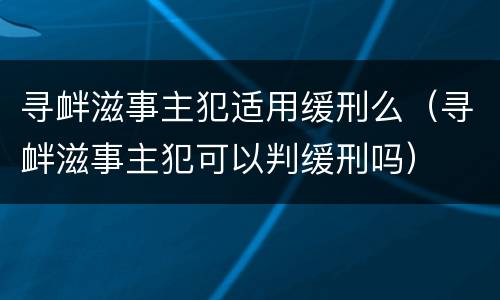 寻衅滋事主犯适用缓刑么（寻衅滋事主犯可以判缓刑吗）