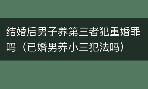 结婚后男子养第三者犯重婚罪吗（已婚男养小三犯法吗）