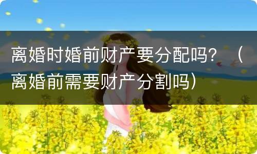 离婚时婚前财产要分配吗？（离婚前需要财产分割吗）