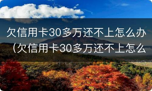 欠信用卡30多万还不上怎么办（欠信用卡30多万还不上怎么办呢）