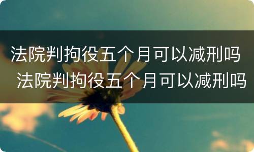 法院判拘役五个月可以减刑吗 法院判拘役五个月可以减刑吗多少钱