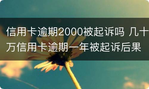 信用卡逾期2000被起诉吗 几十万信用卡逾期一年被起诉后果会怎么样