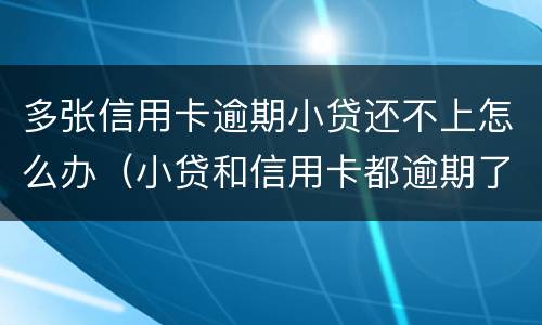 多张信用卡逾期小贷还不上怎么办（小贷和信用卡都逾期了怎么办）