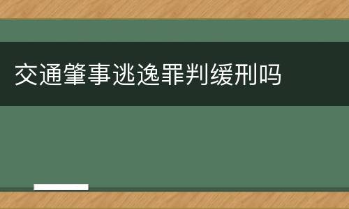 交通肇事逃逸罪判缓刑吗