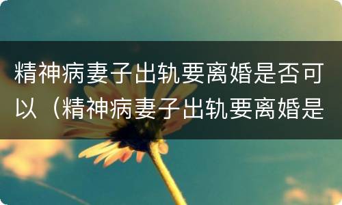 精神病妻子出轨要离婚是否可以（精神病妻子出轨要离婚是否可以告她）