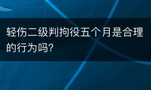 轻伤二级判拘役五个月是合理的行为吗？