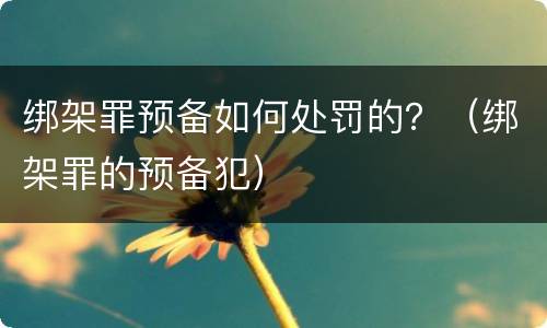 绑架罪预备如何处罚的？（绑架罪的预备犯）