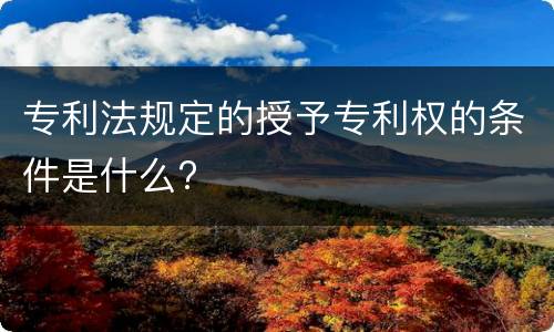 专利法规定的授予专利权的条件是什么?