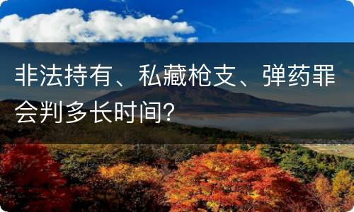 非法持有、私藏枪支、弹药罪会判多长时间？