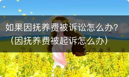 如果因抚养费被诉讼怎么办？（因抚养费被起诉怎么办）