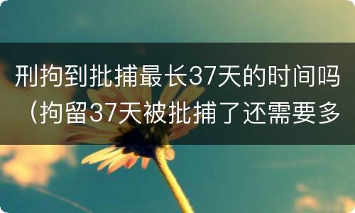 刑拘到批捕最长37天的时间吗（拘留37天被批捕了还需要多长时间出来）