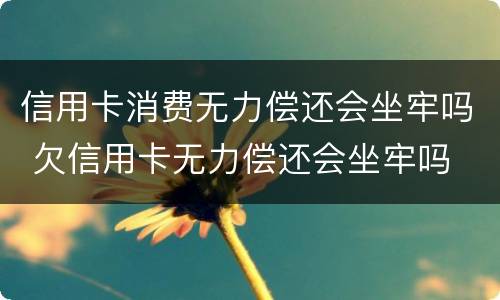 信用卡消费无力偿还会坐牢吗 欠信用卡无力偿还会坐牢吗
