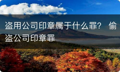 盗用公司印章属于什么罪？ 偷盗公司印章罪