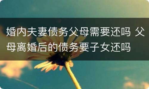 婚内夫妻债务父母需要还吗 父母离婚后的债务要子女还吗