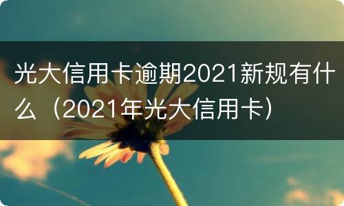 光大信用卡逾期2021新规有什么（2021年光大信用卡）