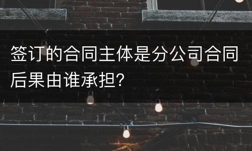签订的合同主体是分公司合同后果由谁承担？