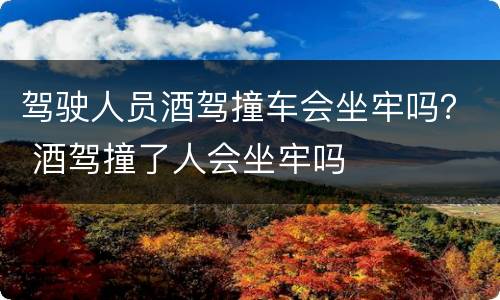 驾驶人员酒驾撞车会坐牢吗？ 酒驾撞了人会坐牢吗