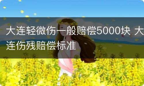 大连轻微伤一般赔偿5000块 大连伤残赔偿标准