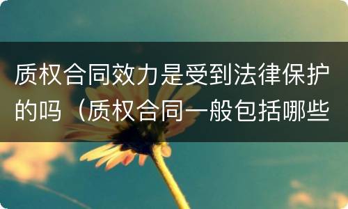 质权合同效力是受到法律保护的吗（质权合同一般包括哪些条款?）