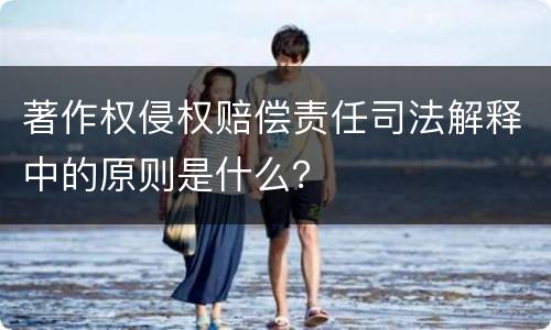著作权侵权赔偿责任司法解释中的原则是什么？