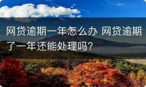 网贷逾期一年怎么办 网贷逾期了一年还能处理吗?