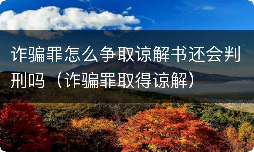 诈骗罪怎么争取谅解书还会判刑吗（诈骗罪取得谅解）