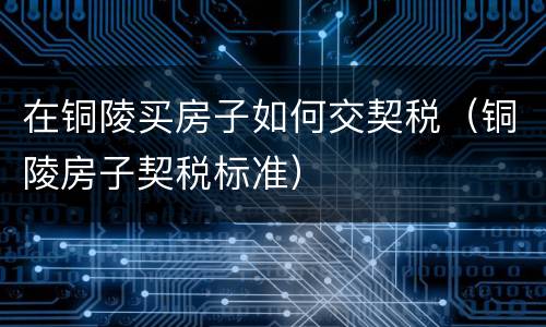 在铜陵买房子如何交契税（铜陵房子契税标准）