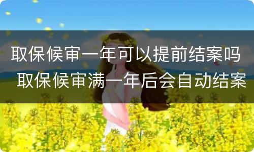 取保候审一年可以提前结案吗 取保候审满一年后会自动结案嘛