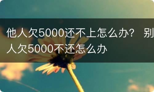 他人欠5000还不上怎么办？ 别人欠5000不还怎么办