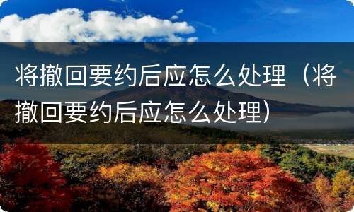 将撤回要约后应怎么处理（将撤回要约后应怎么处理）