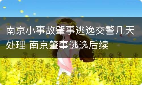南京小事故肇事逃逸交警几天处理 南京肇事逃逸后续