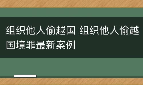 组织他人偷越国 组织他人偷越国境罪最新案例