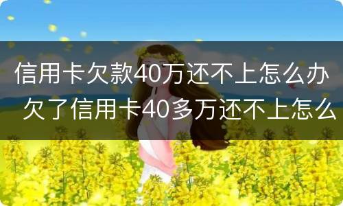 信用卡欠款40万还不上怎么办 欠了信用卡40多万还不上怎么办